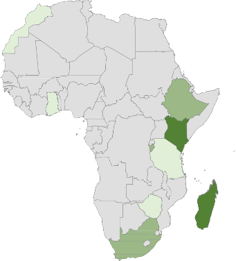 Image_026 Africa Joint venture tier map